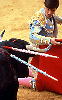 En matador provokerer en skadet tyr, Frankrig