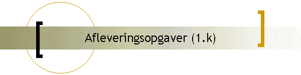 Afleveringsopgaver (1.k)